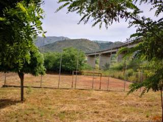 Terreno agricolo all'asta a scalea localita' petrosa