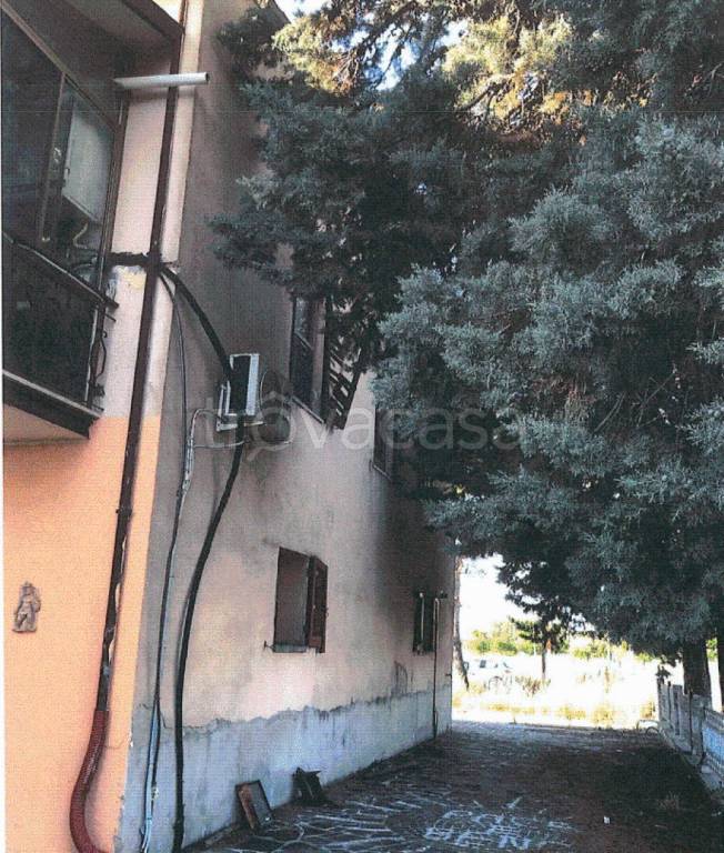 immagine annuncio 5 di 12