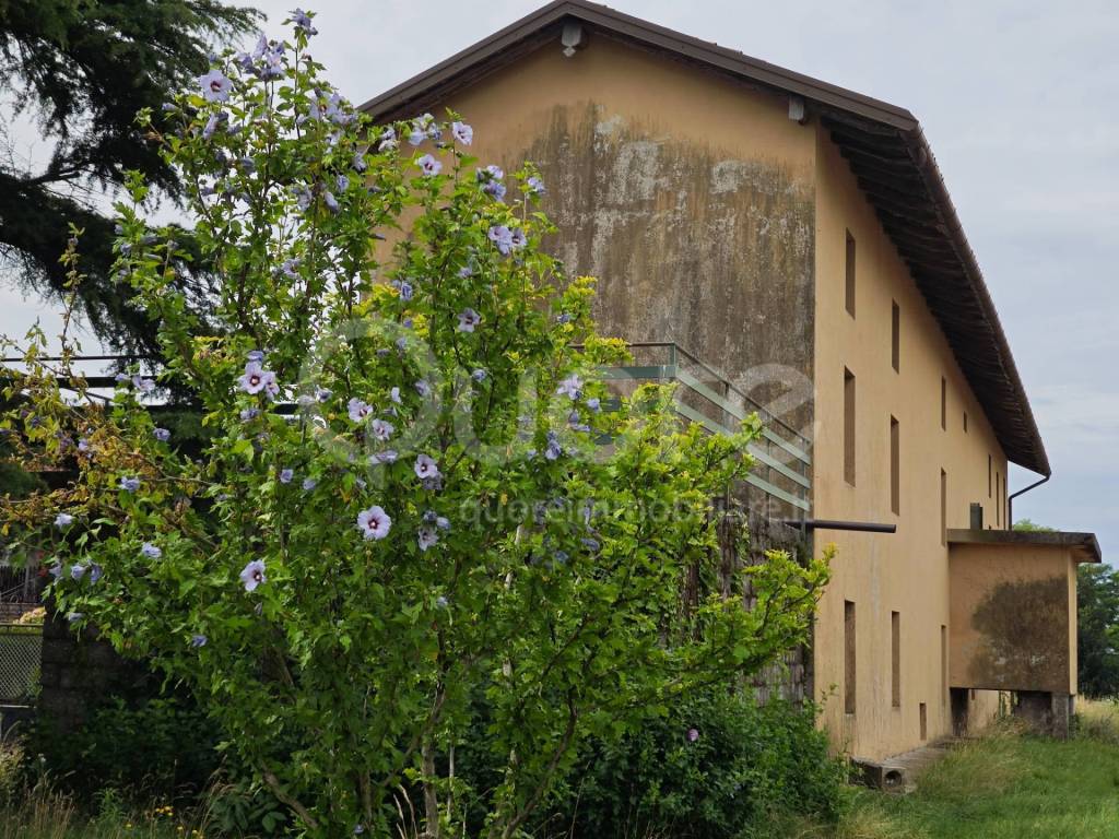 immagine annuncio 4 di 7