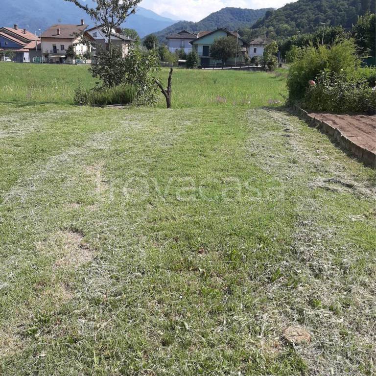 immagine annuncio 13 di 14