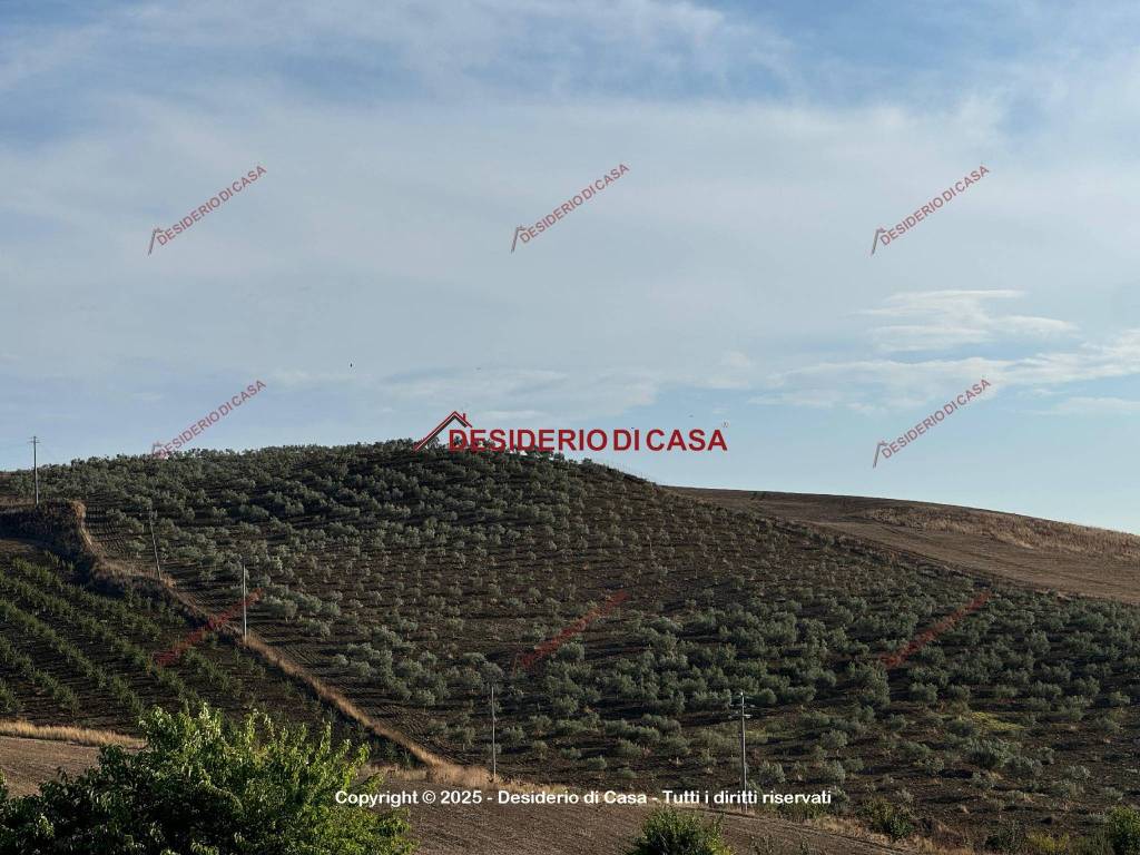 immagine annuncio 3 di 6