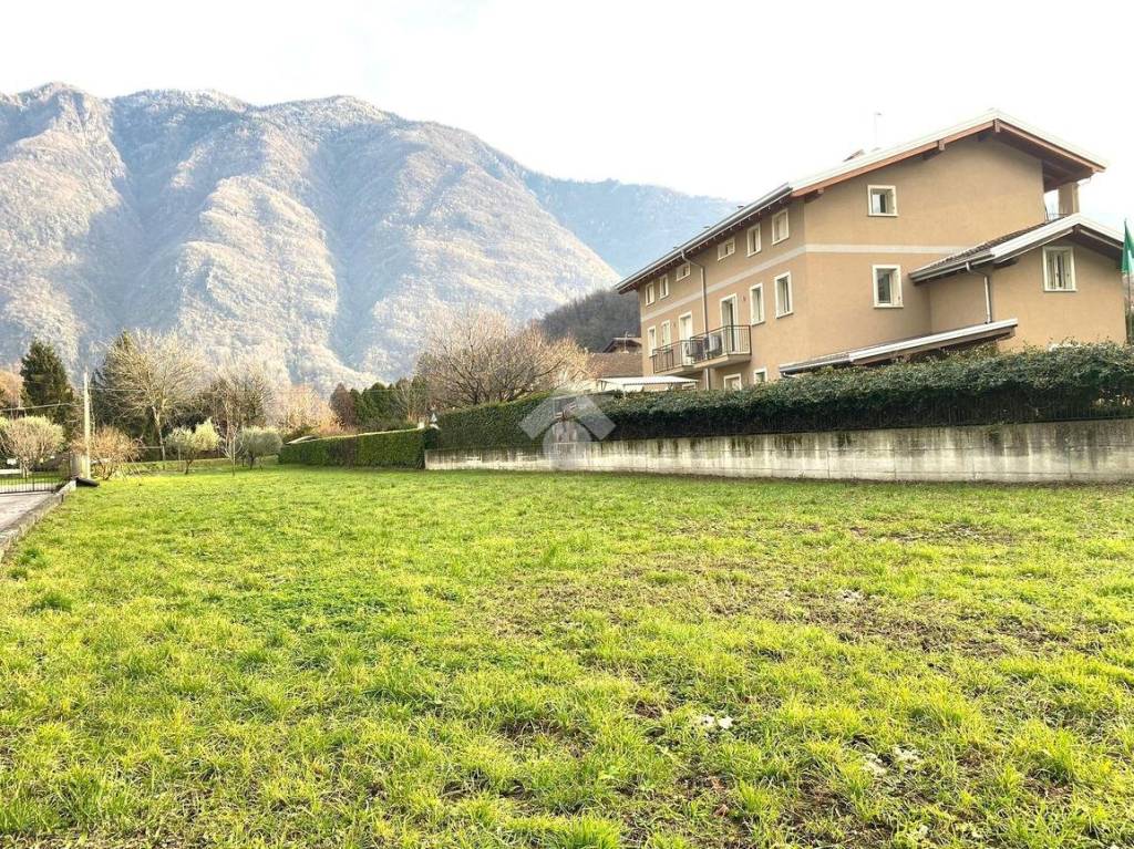 immagine annuncio 11 di 13