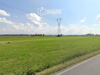 Terreno agricolo in vendita a narzole 