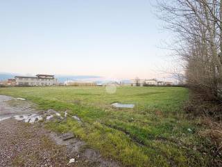 Terreno agricolo in affitto a quarrata via ugo schiano