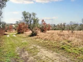 Terreno commerciale all'asta a montefalco via belvedere