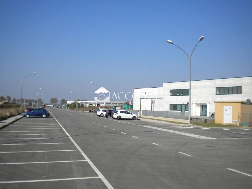 immagine annuncio 1 di 11