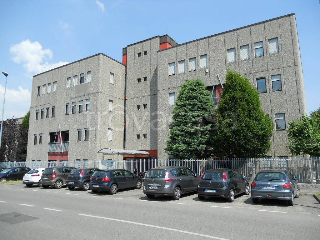 immagine annuncio 12 di 14