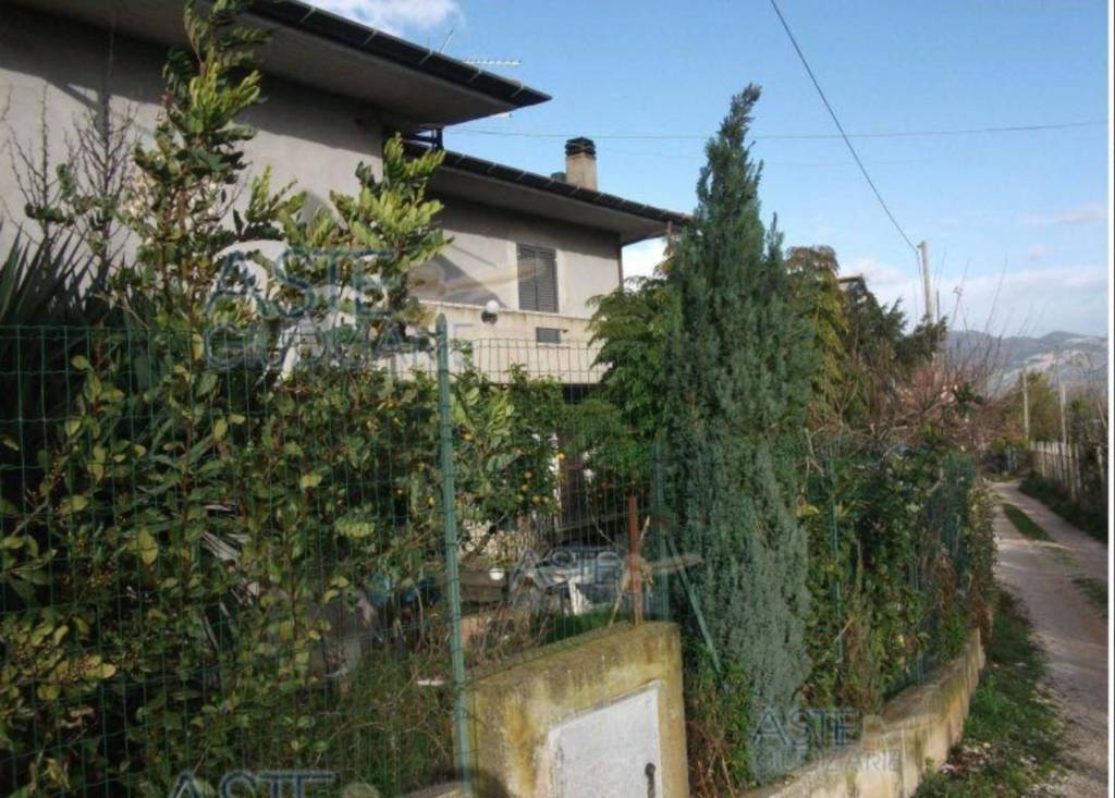 immagine annuncio 5 di 11