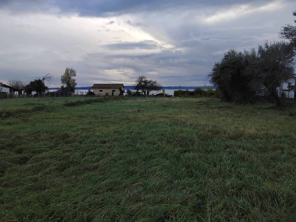 immagine annuncio 7 di 9