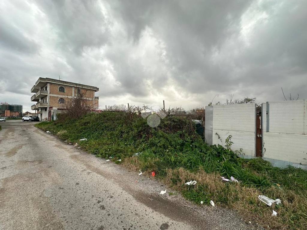 immagine annuncio 5 di 11