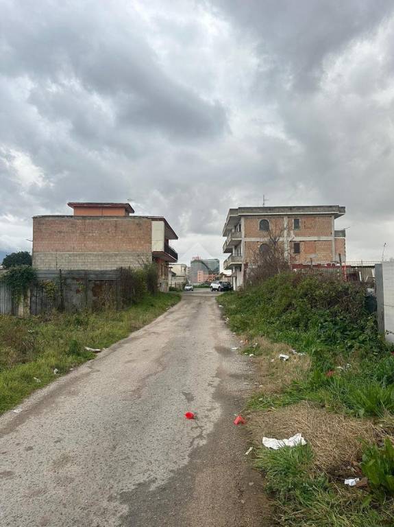 immagine annuncio 6 di 11