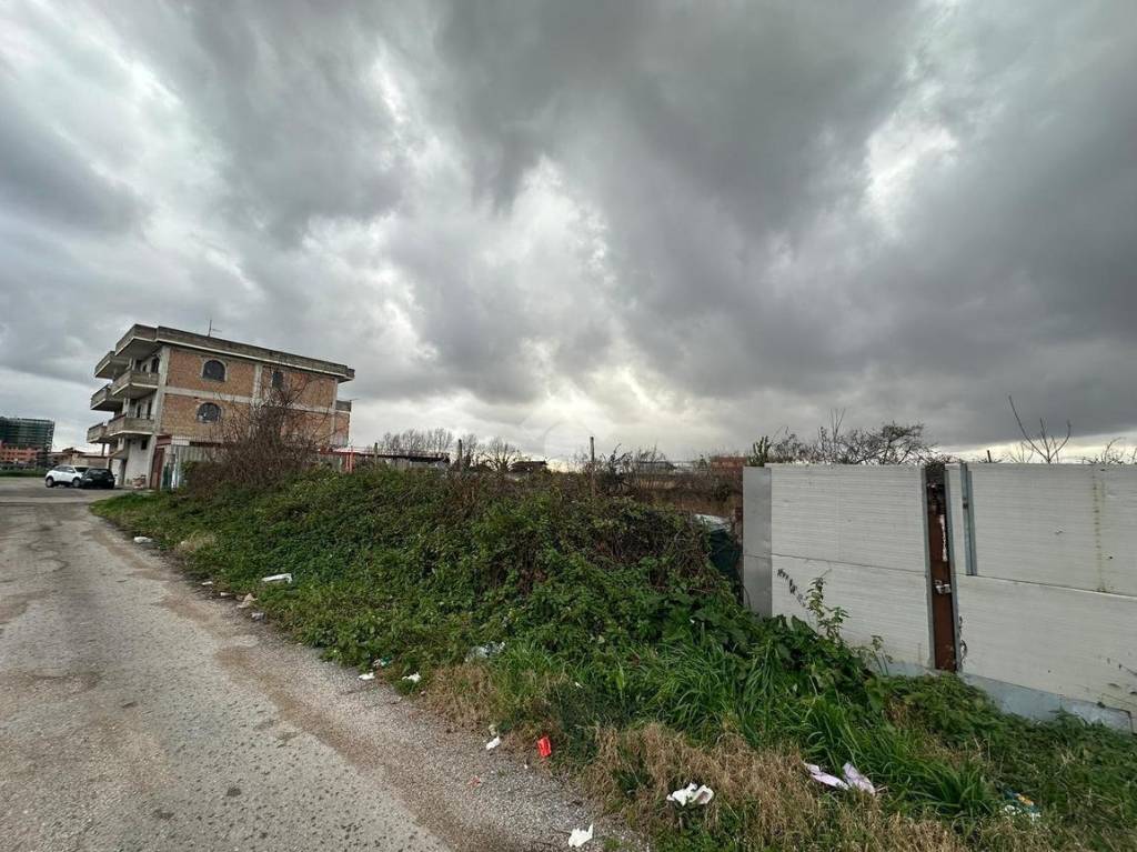 immagine annuncio 9 di 11