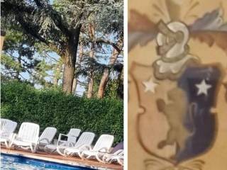 Appartamento in in affitto da privato a peschiera del garda via madonnina, 2