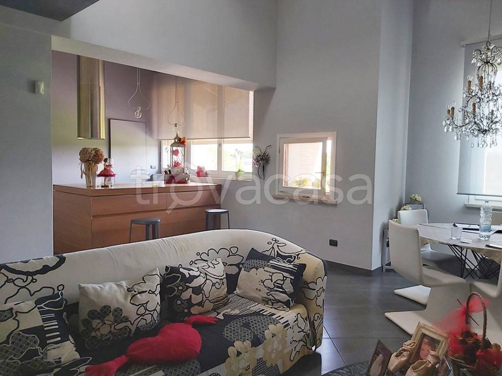immagine annuncio 1 di 14