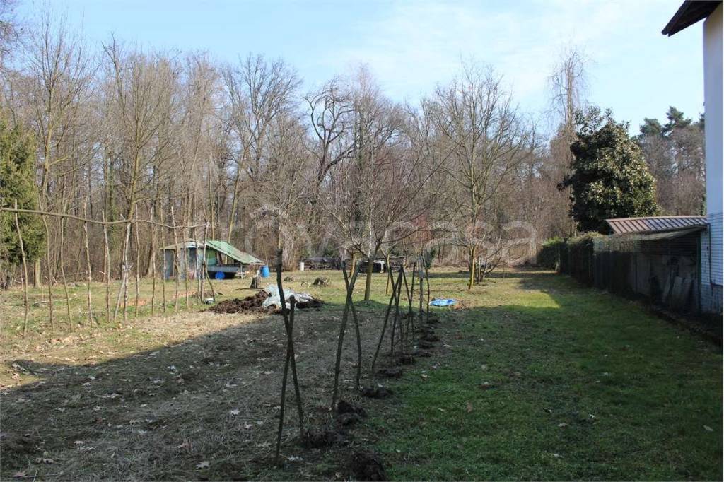 immagine annuncio 4 di 12