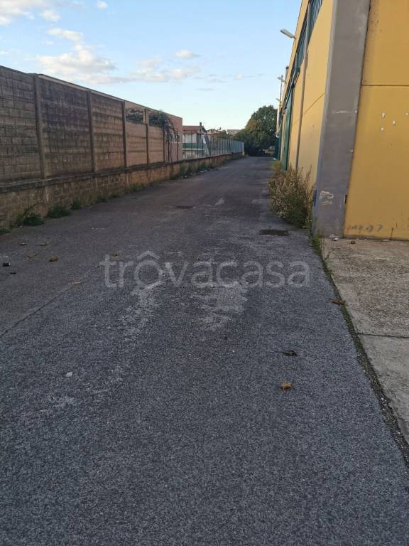 immagine annuncio 3 di 7