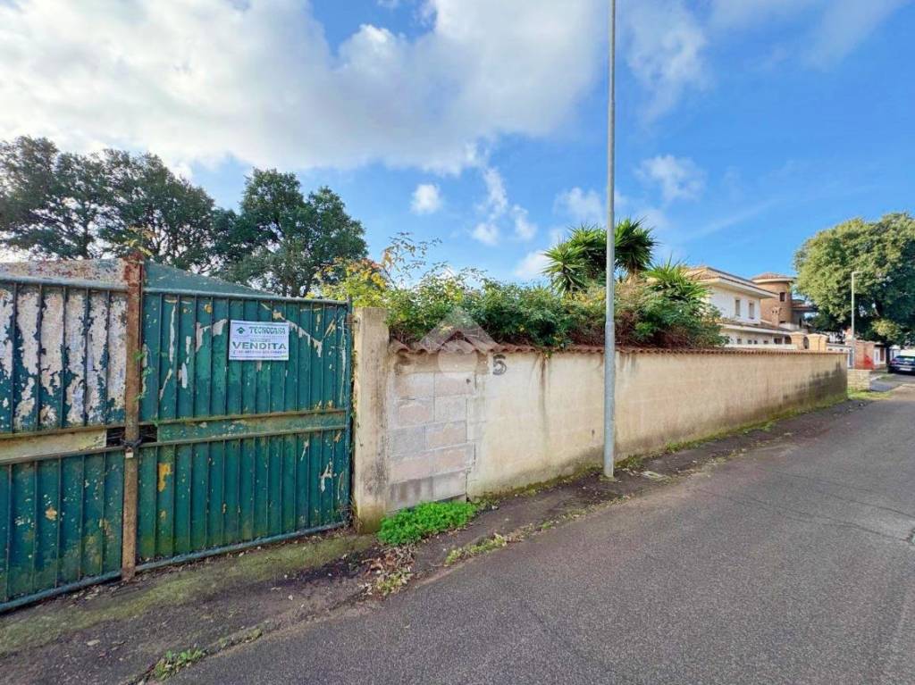 immagine annuncio 4 di 11