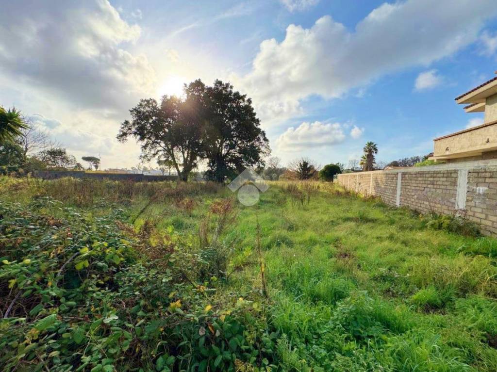 immagine annuncio 6 di 11