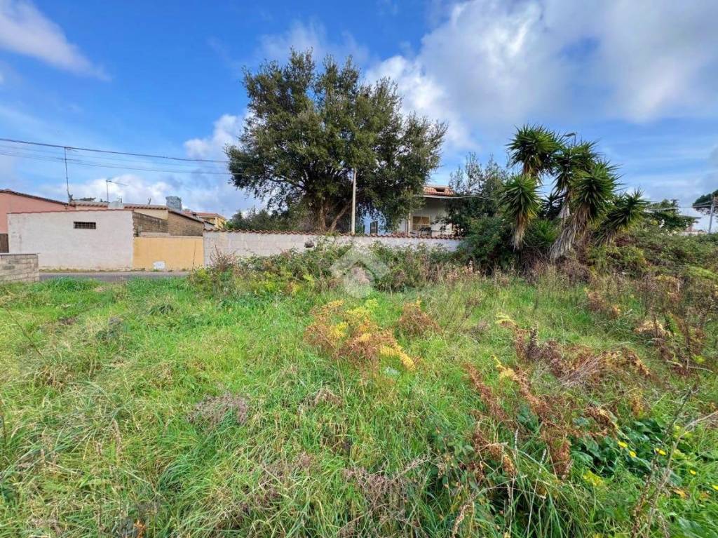 immagine annuncio 8 di 11