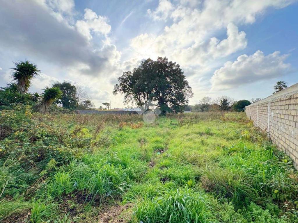 immagine annuncio 10 di 11