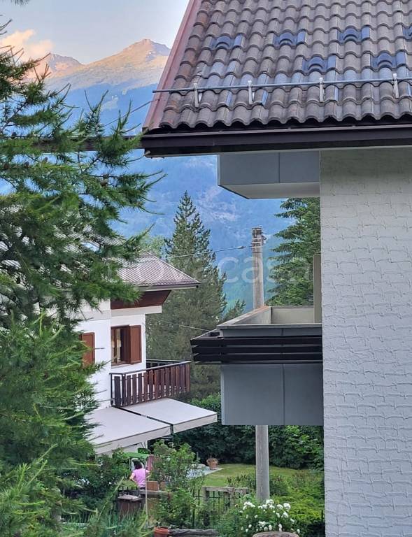 immagine annuncio 5 di 15