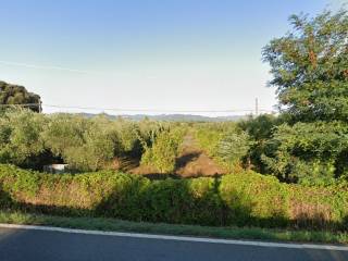 Terreno agricolo in vendita a grosseto via aurelia sud braccagni