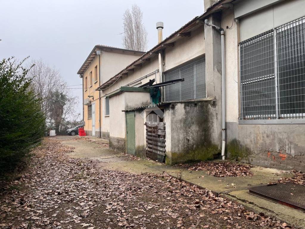 immagine annuncio 8 di 15