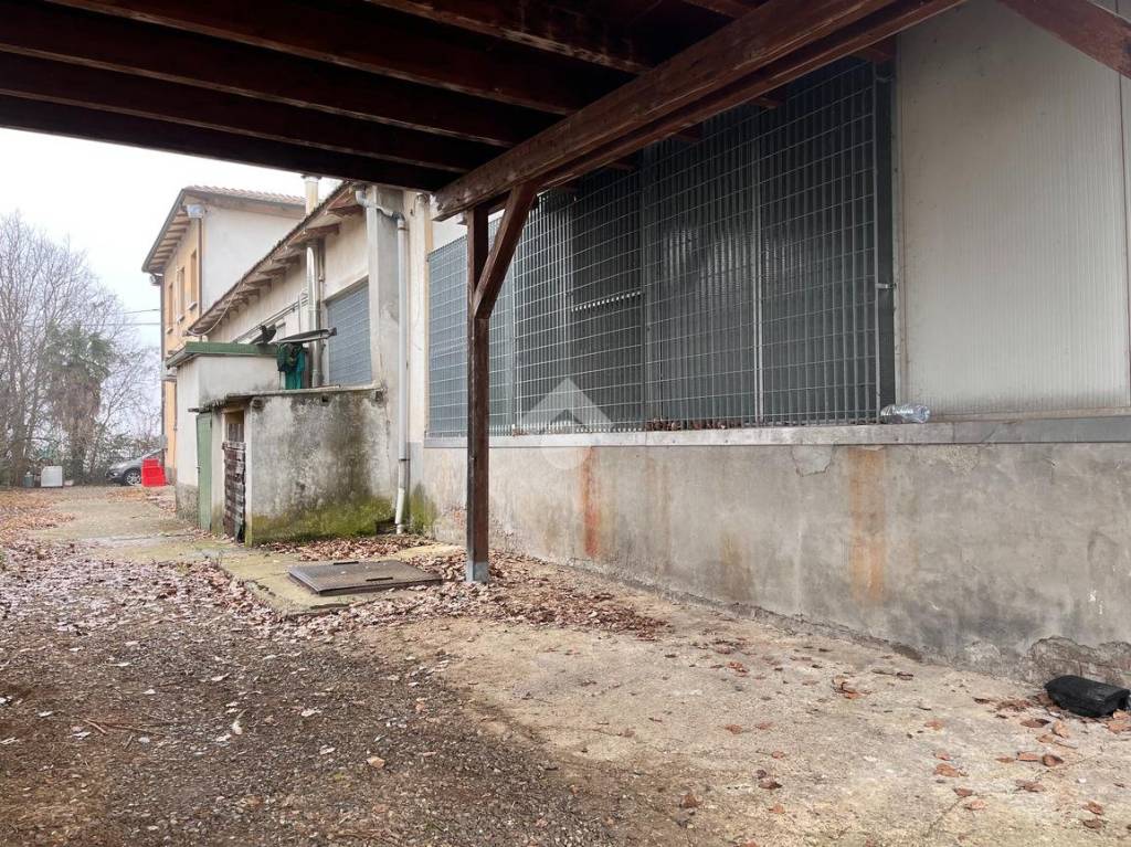 immagine annuncio 9 di 15