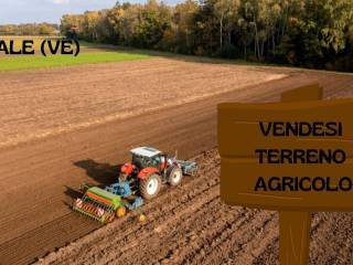 Terreno agricolo in vendita a noale via casarini