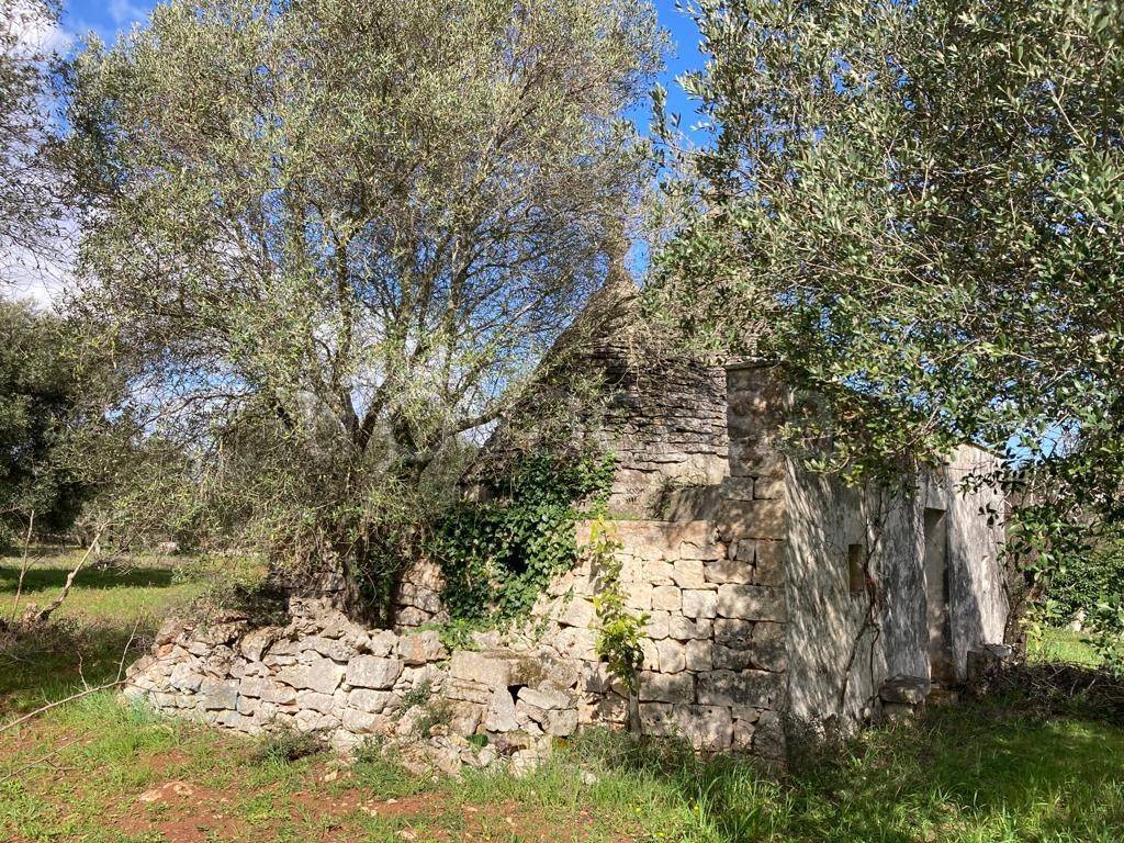 immagine annuncio 4 di 14