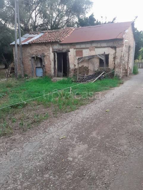 immagine annuncio 1 di 6