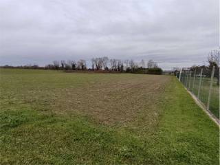 Terreno agricolo all'asta a san vito al torre via udine