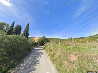 Azienda agricola all'asta a portoferraio via valle di lazzaro, 103