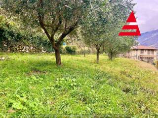 Terreno agricolo in vendita a valbrenta via monte ortigara