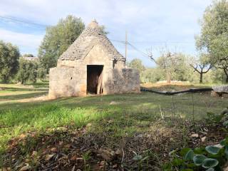 Terreno agricolo in vendita a monopoli contrada santa teresa