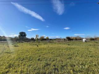 Terreno agricolo in vendita a cappelle sul tavo via carducci