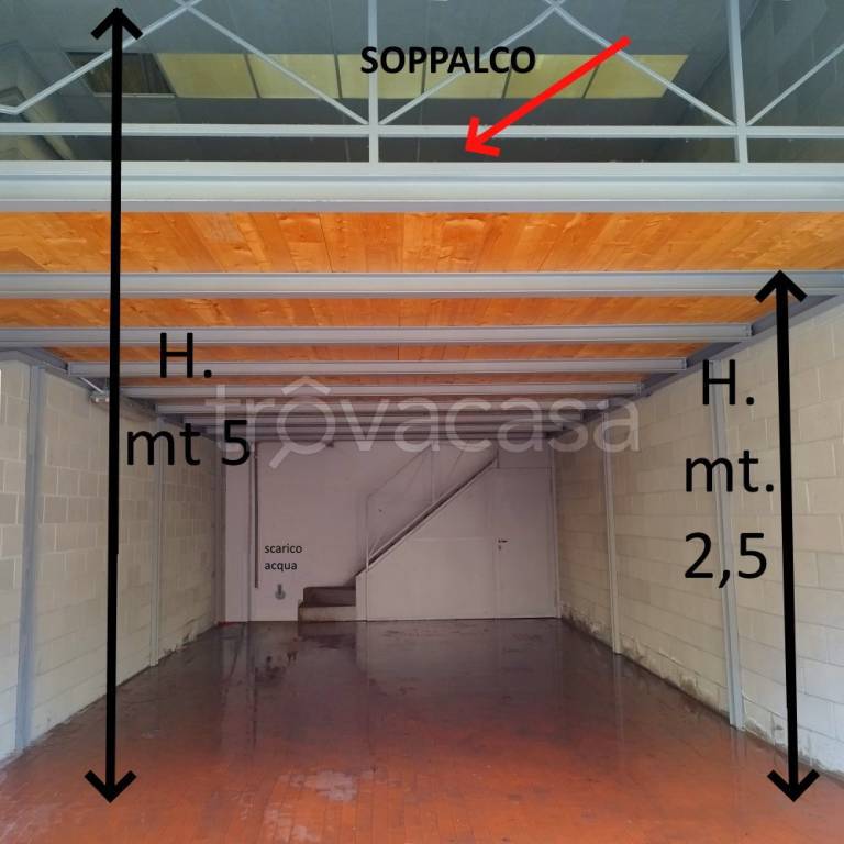 immagine annuncio 4 di 12