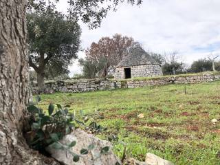 Terreno agricolo in vendita a monopoli contrada pagliericci