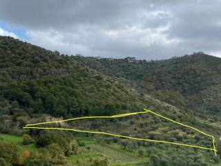 Terreno agricolo in vendita a castellabate 