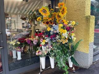 Piante e fiori in vendita a rapallo via cerisola