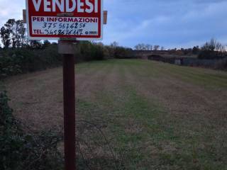 Terreno agricolo in vendita a cellole cupa castagneto, 1