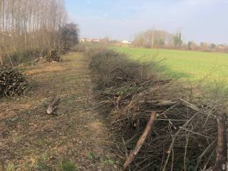 Terreno agricolo in vendita a borgoricco via cornara, 1