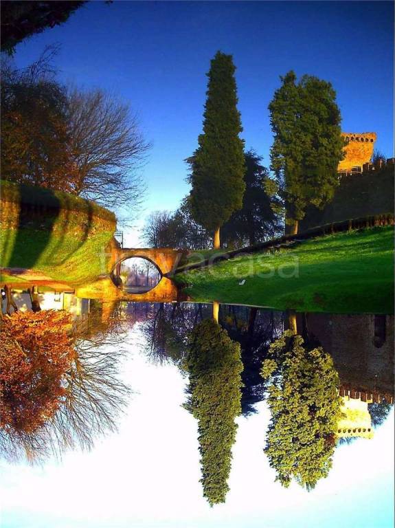 immagine annuncio 7 di 8