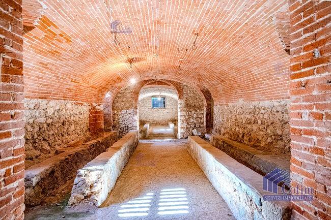 immagine annuncio 11 di 13