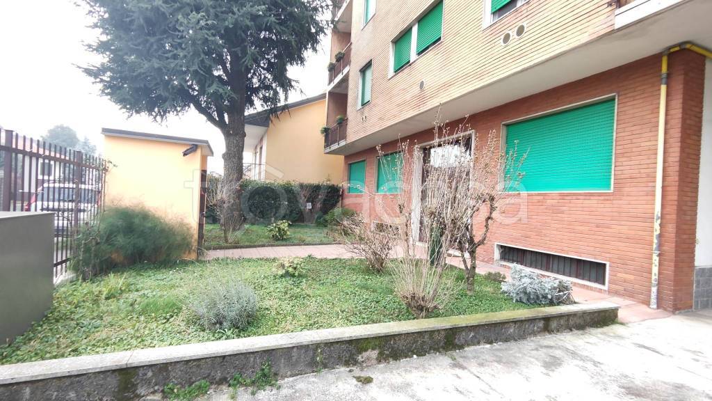 immagine annuncio 3 di 15