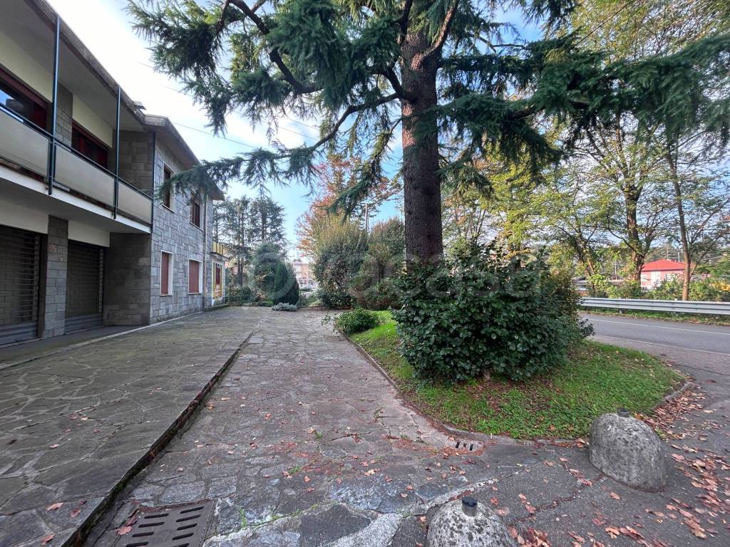 immagine annuncio 3 di 14