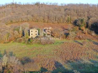 Rustico in vendita a latera strada provinciale 117 valle dell'olpeta, snc