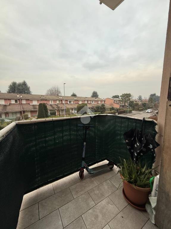 immagine annuncio 6 di 14
