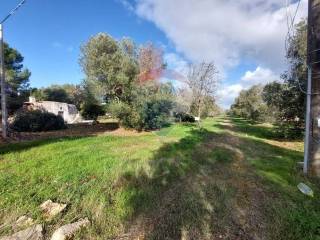 Terreno residenziale in vendita a carovigno contrada arrighi, snc