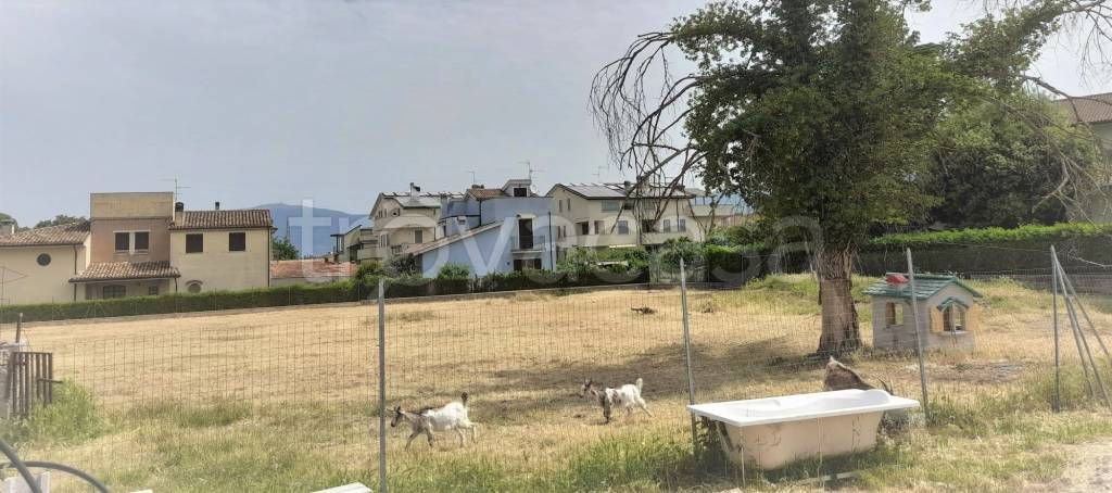immagine annuncio 1 di 3